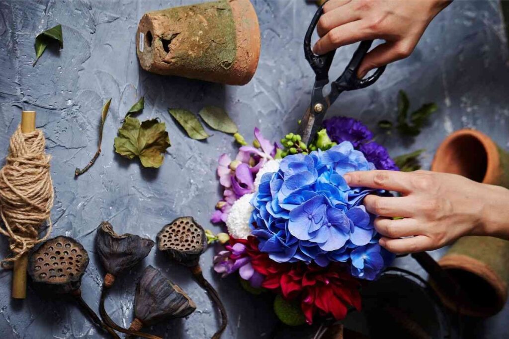 cutting flowers