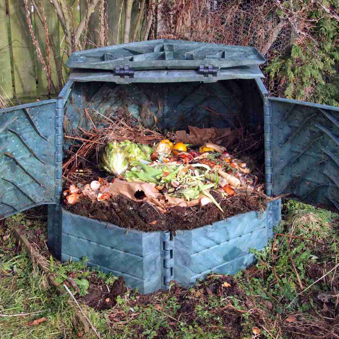 compost bin