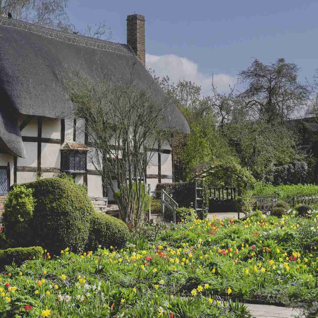 cottage garden