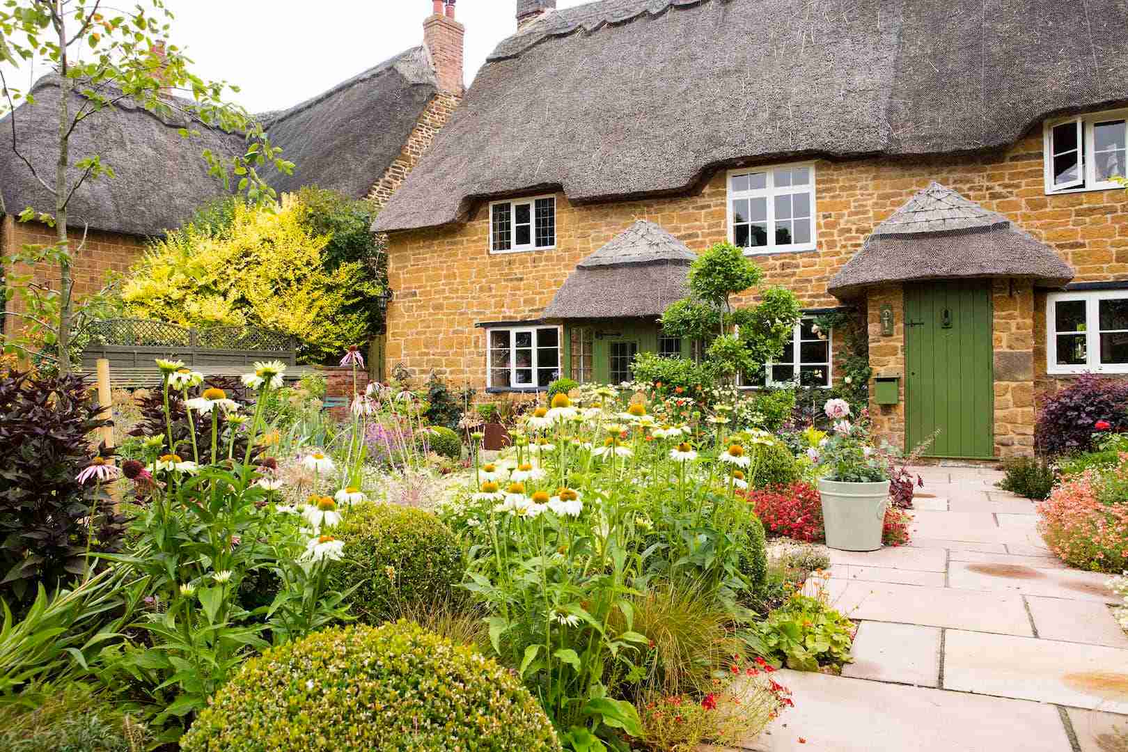 cottage garden