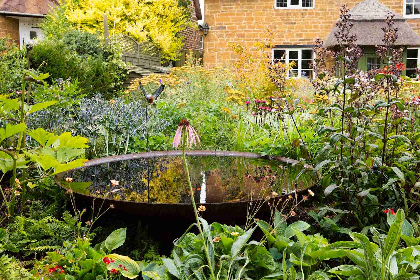 cottage garden