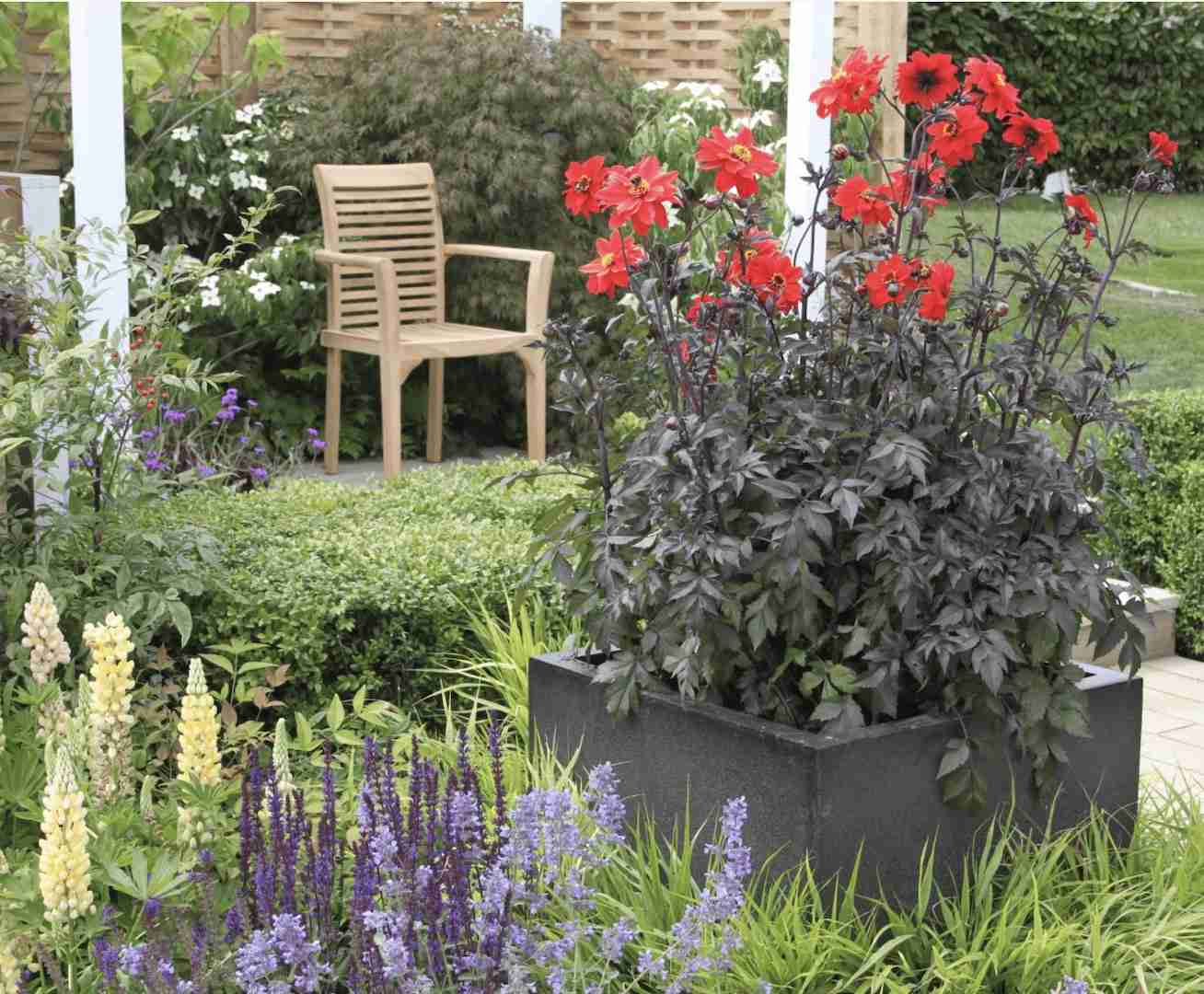 cottage garden