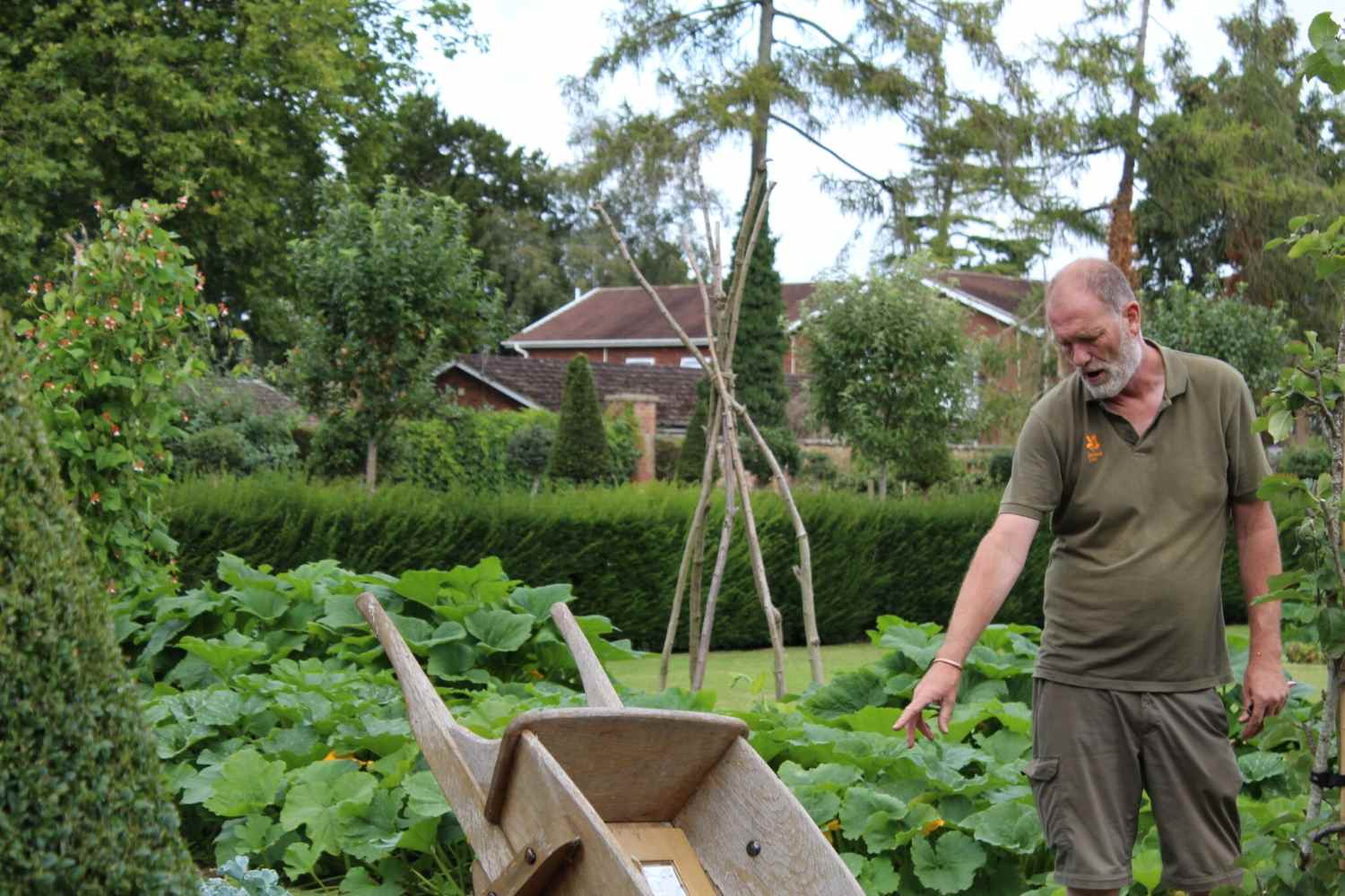 man working in garden