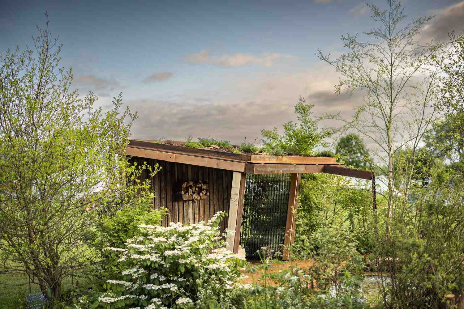 wild garden