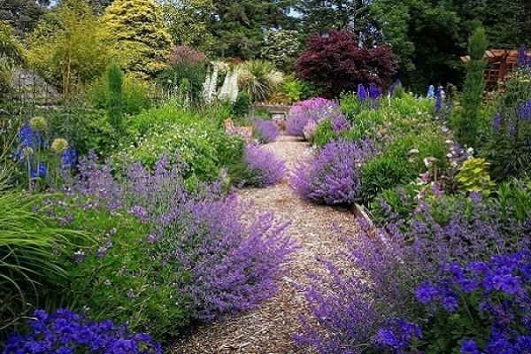 cottage garden