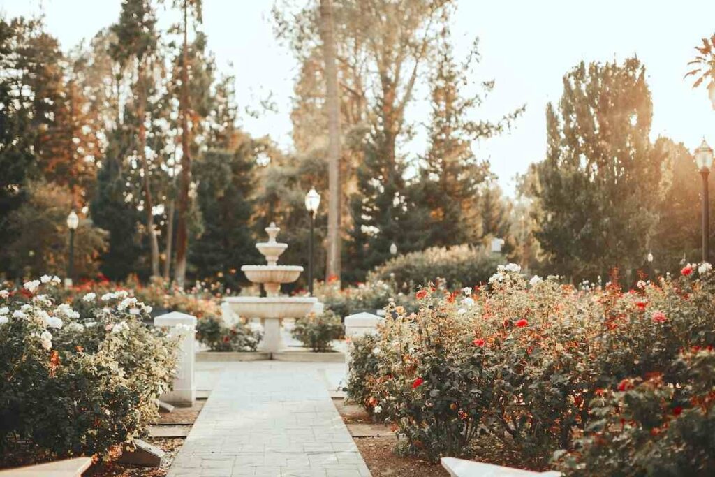 garden with fountain