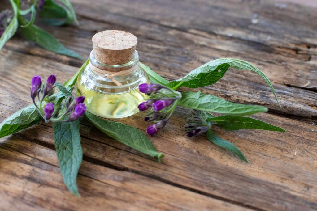 plant medicine