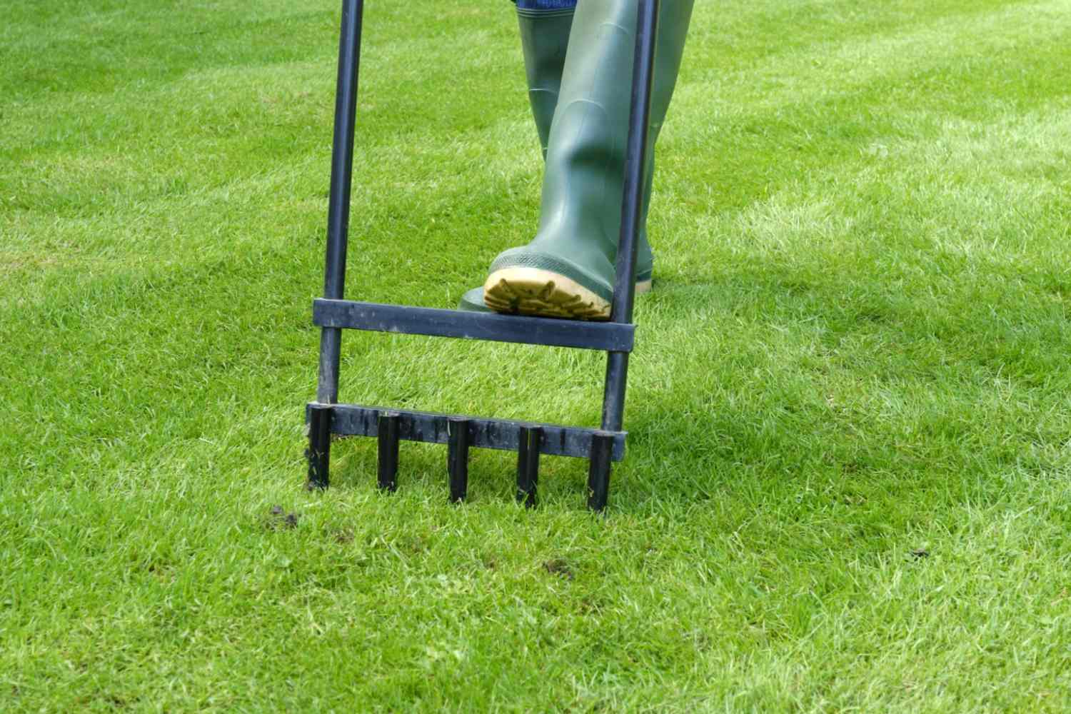 garden fork