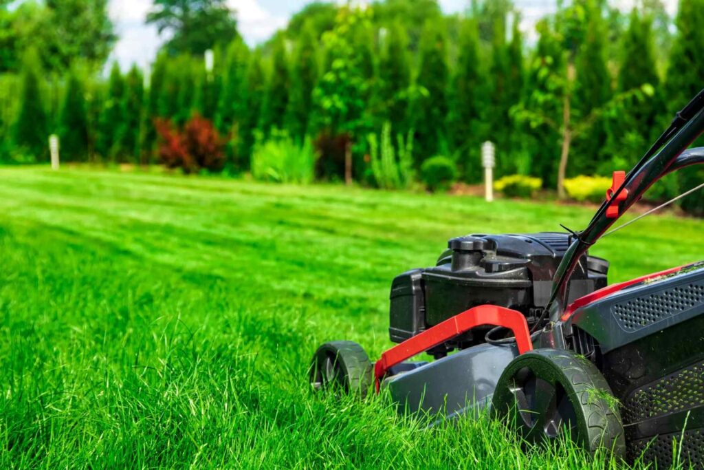mowing the lawn