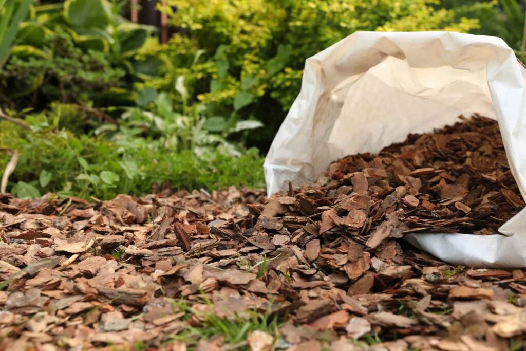 garden mulch