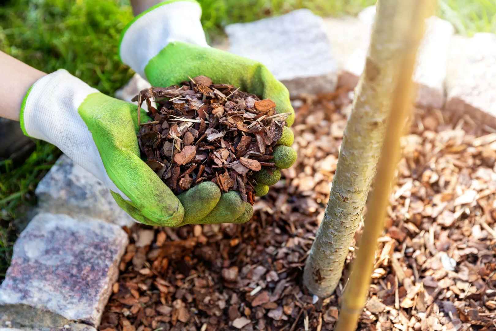 garden mulch