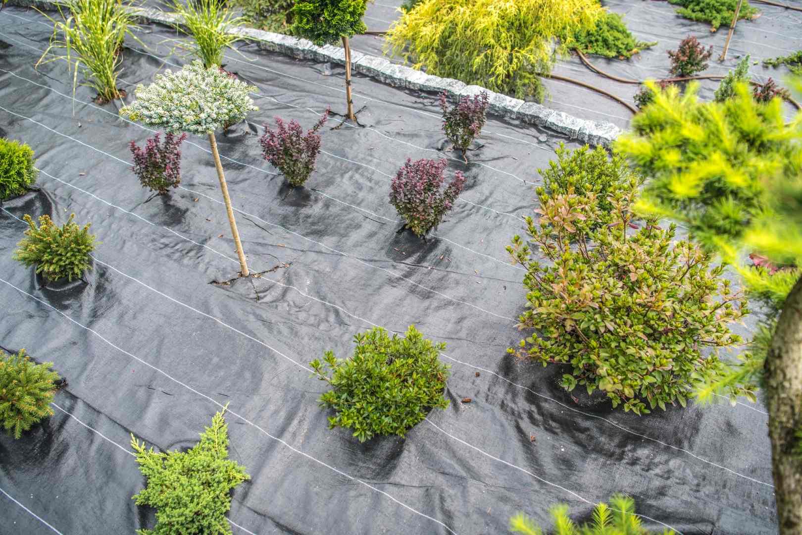 weed suppressing fabric