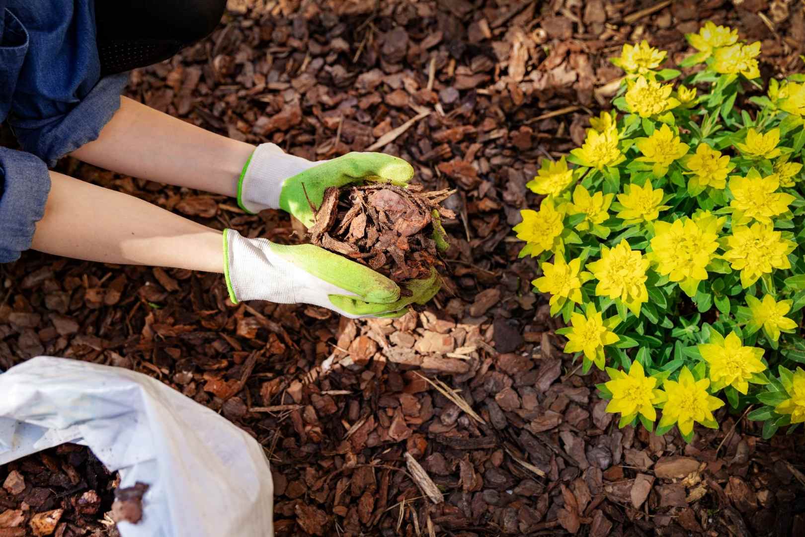 garden mulch