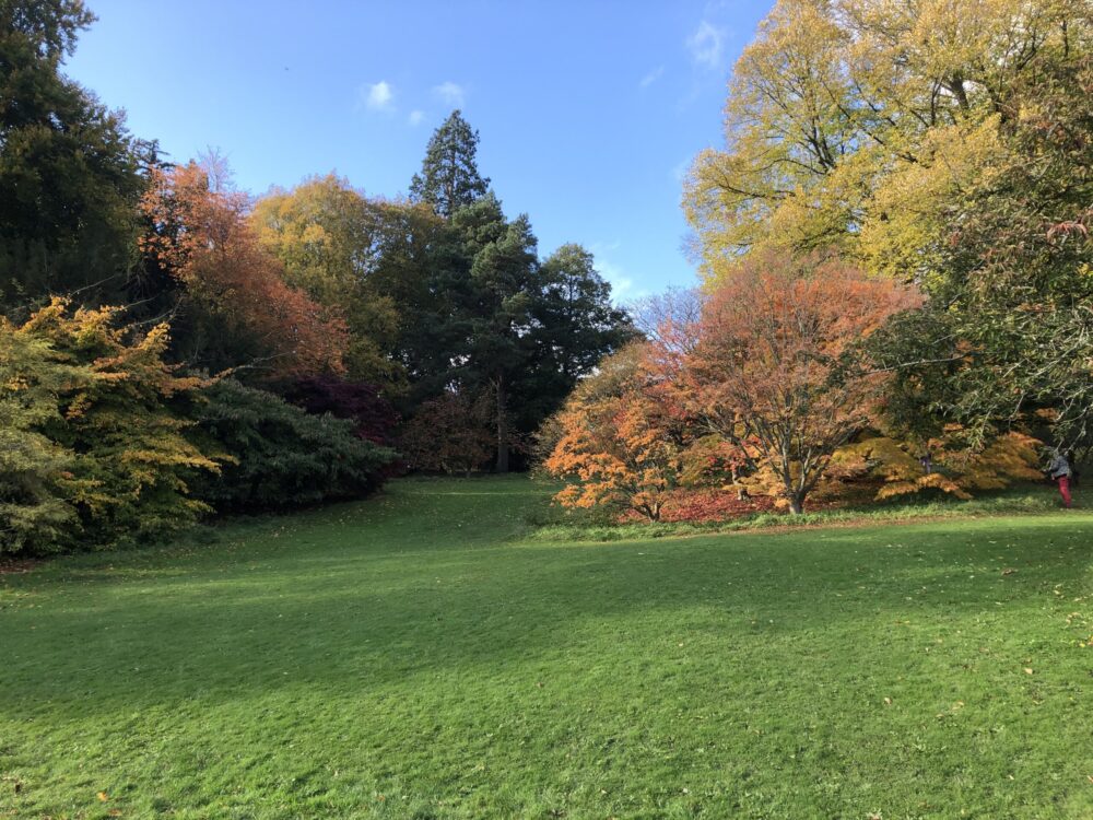 Batsford Arboretum in Gloucestershire