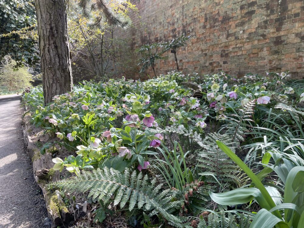 Batsford in spring