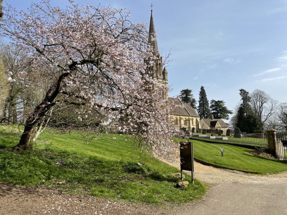 Spring blossom