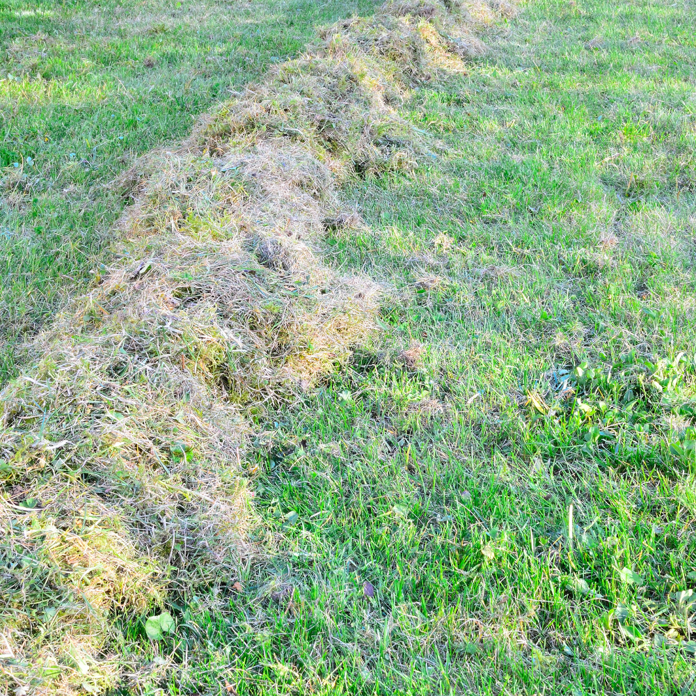 Gardening in April