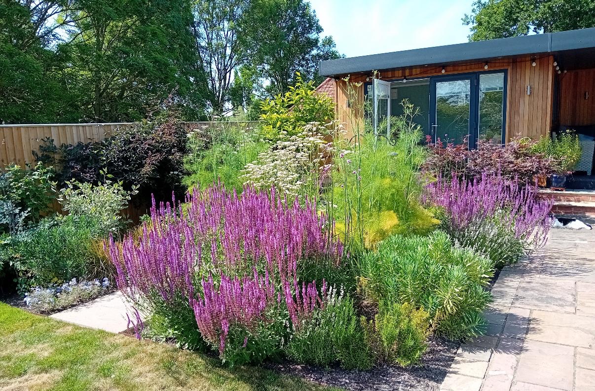 garden screening ideas