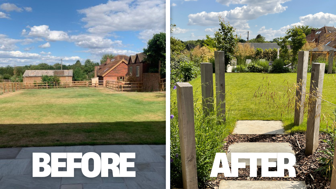 garden screening ideas