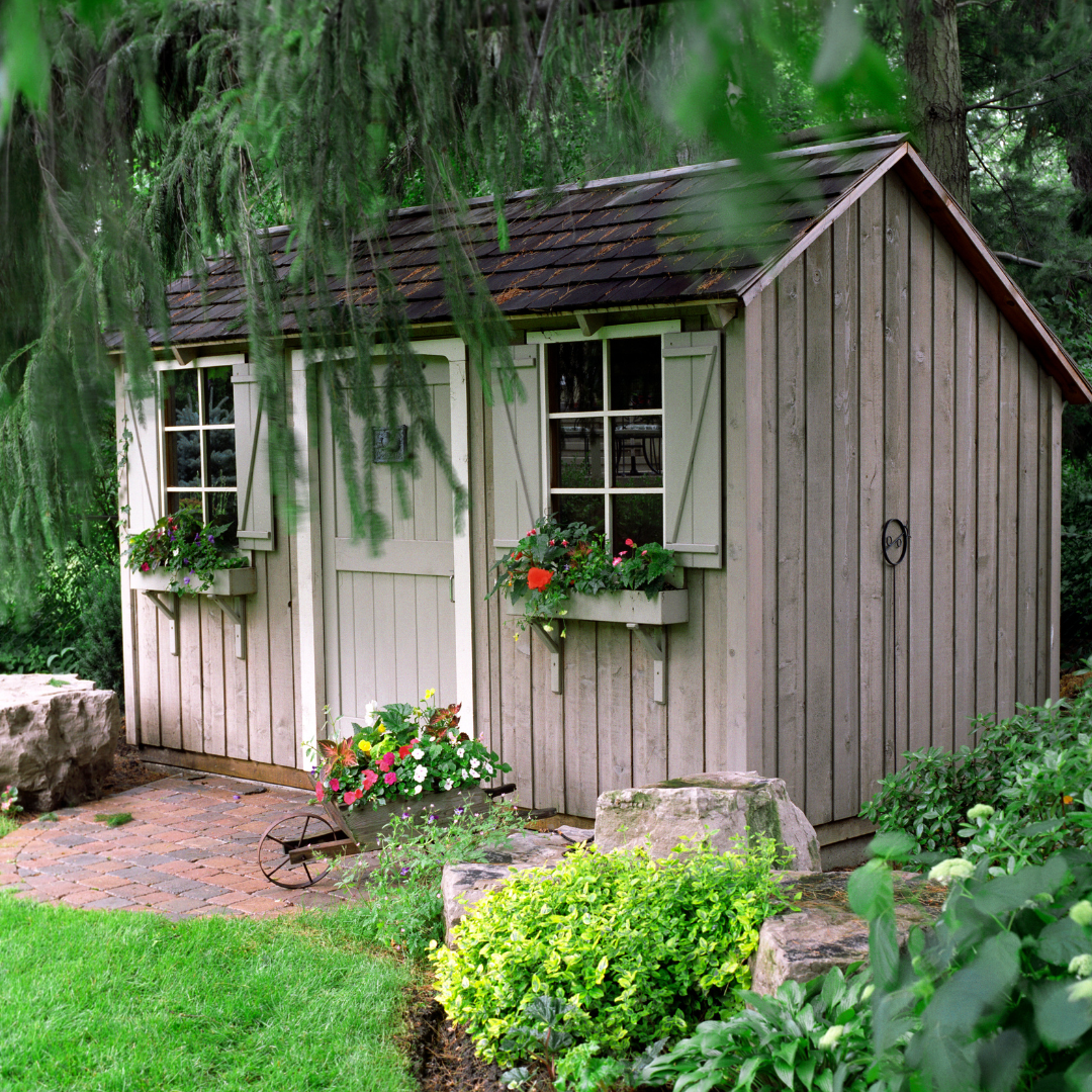garden screening ideas