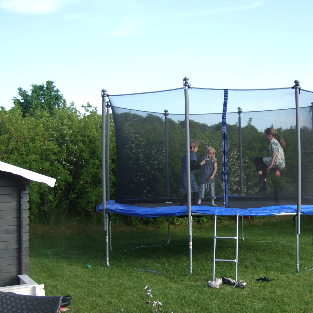 garden screening ideas
