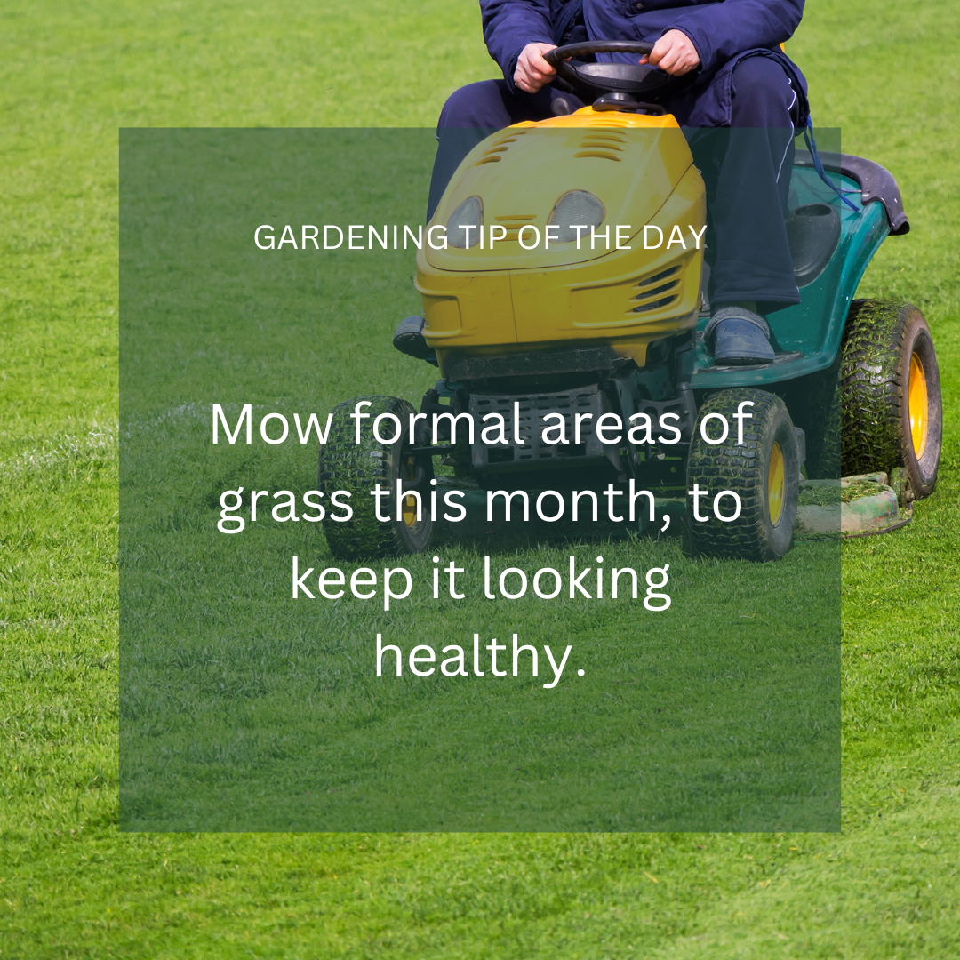 July gardening jobs in Gloucestershire