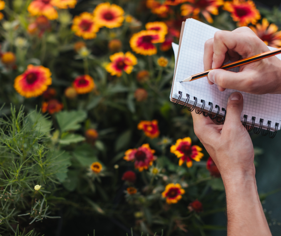 Flowers for the August garden